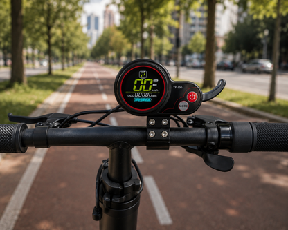 Display con Acelerador 6 Pines para Scooter Eléctrico